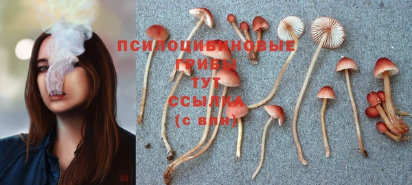 Альфа ПВП Алексеевка