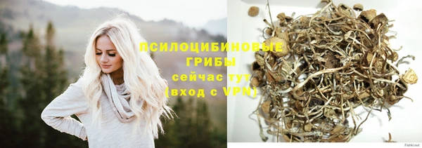 тгк Алексин